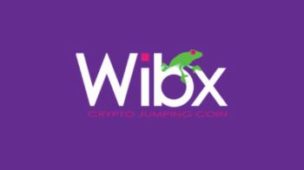 Logo WiBx