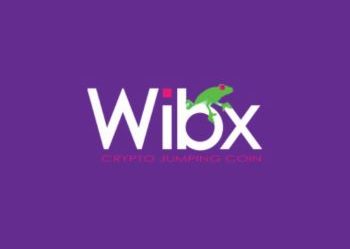 WiBx – O que é o WiBx e Por que ele Subiu Tanto?